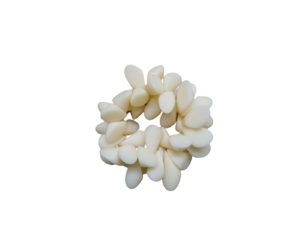 Bracelet - Cream Organic