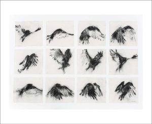 Postcard - Multi-Colour William Kentridge Bird In Flight A5