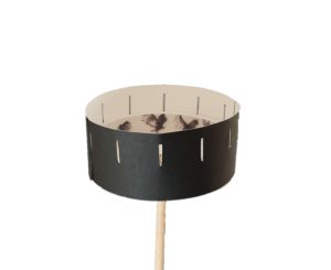 Craft Set - Black & White William Kentridge Bird In Flight Zoetrope