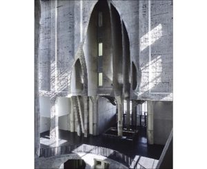 Postcard - Mark Williams Pic MW07 A5