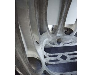 Postcard - Mark Williams Pic MW12 A5