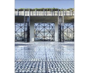 Postcard - Mark Williams Pic MW19 A5