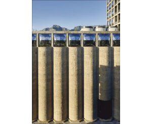 Postcard - Mark Williams Pic MW39 A5