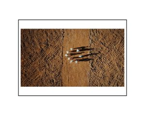 Postcard - Brown Buhlebezwe Siwani AmaHubo A5