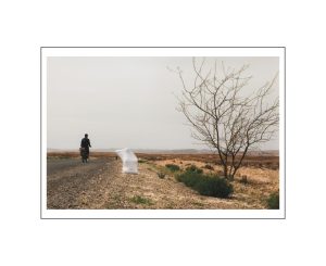 Postcard - Brown Mouna Karray Nobody will talk A5