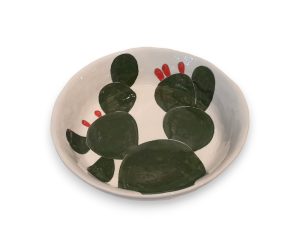 Bowl - Assorted Gemma Cactus M