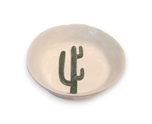 Platter - Assorted Gemma Cactus M